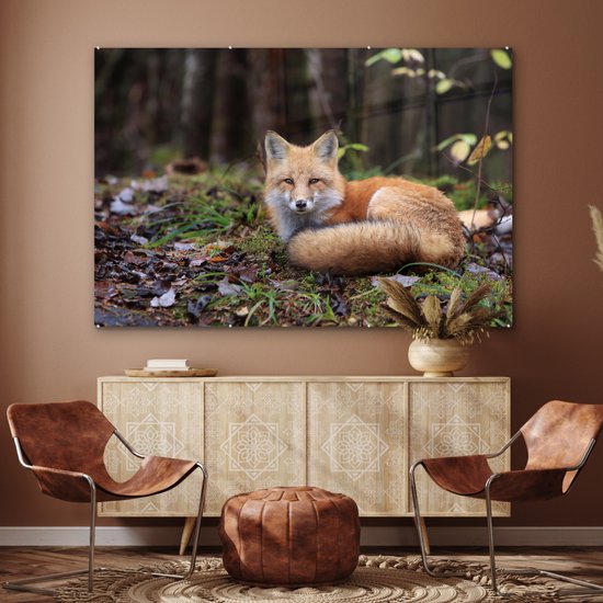MuchoWow® Peinture sur verre - Renard - Forêt - Animal - 150x100 cm - Peintures sur verre acrylique - Photo sur Glas