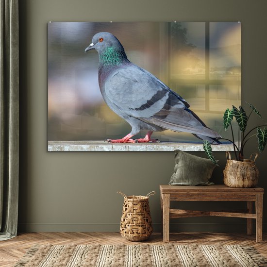 MuchoWow® Peinture sur verre 150x100 cm - Peinture sur verre acrylique - Duif - Vogel - Clôture - Photo sur verre - Peintures