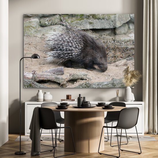 MuchoWow® Peinture sur Verre - Porc-épic à queue blanche - 150x100 cm - Peintures sur Verre Peintures - Photo sur Glas