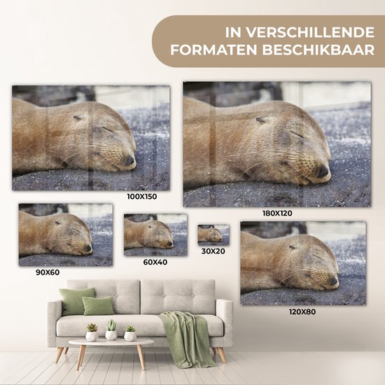 Peinture sur Verre - Gros plan - Animaux - Pierres - 120x80 cm - Peintures sur Verre Peintures - Photo sur Glas