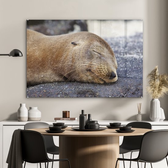 Peinture sur Verre - Gros plan - Animaux - Pierres - 120x80 cm - Peintures sur Verre Peintures - Photo sur Glas