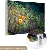 MuchoWow® Glasschilderij 90x60 cm - Schilderij glas - Vis - Anemoon - Groen - Foto op acrylglas - Schilderijen