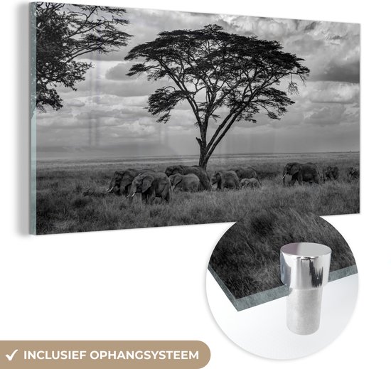 MuchoWow® Glasschilderij 120x60 cm - Schilderij acrylglas - Olifantenfamilie onder een boom in het Nationaal park Serengeti - zwart wit - Foto op glas - Schilderijen