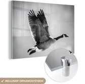 MuchoWow® Peinture sur Verre - Gros Plan d'une Bernache du Canada en Vol - noir et blanc - 120x80 cm - Peintures sur Verre Acrylique - Photo sur Glas