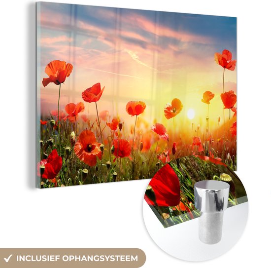 Peintures sur verre - Coquelicots - Printemps - Couleurs - 150x100 cm - Peintures Plexiglas