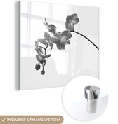 MuchoWow® Peinture sur verre 90x90 cm - Peinture sur verre - Orchidée sur fond blanc - noir et blanc - Photo sur verre acrylique - Peintures