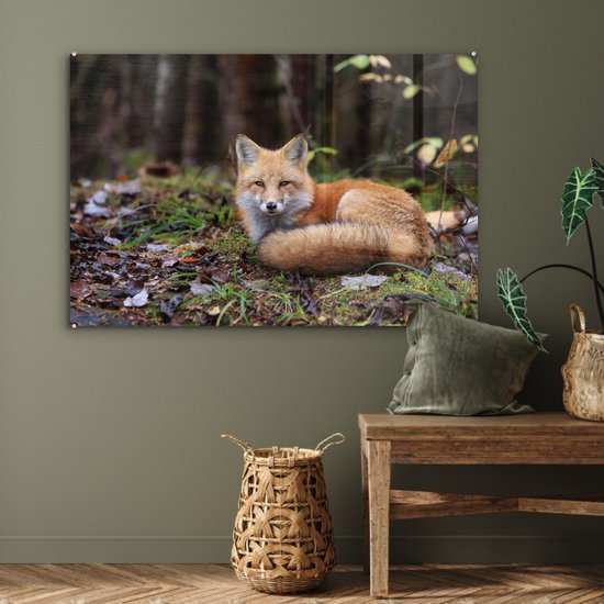 MuchoWow® Glasschilderij 90x60 cm - Schilderij acrylglas - Vos - Bos - Dier - Foto op glas - Schilderijen