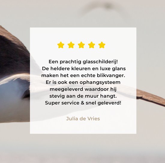 MuchoWow® Peinture sur verre 150x100 cm - Peinture sur verre acrylique - Albatros - Zwart - Vogel - Photo sur verre - Peintures