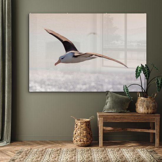 MuchoWow® Peinture sur verre 150x100 cm - Peinture sur verre acrylique - Albatros - Zwart - Vogel - Photo sur verre - Peintures