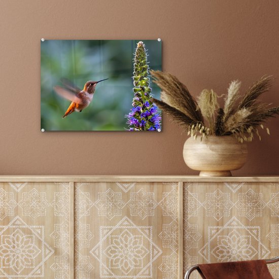 MuchoWow® Peinture sur verre - Vogel - Colibri - Bloem - 40x30 cm - Peintures sur verre acrylique - Photo sur Glas