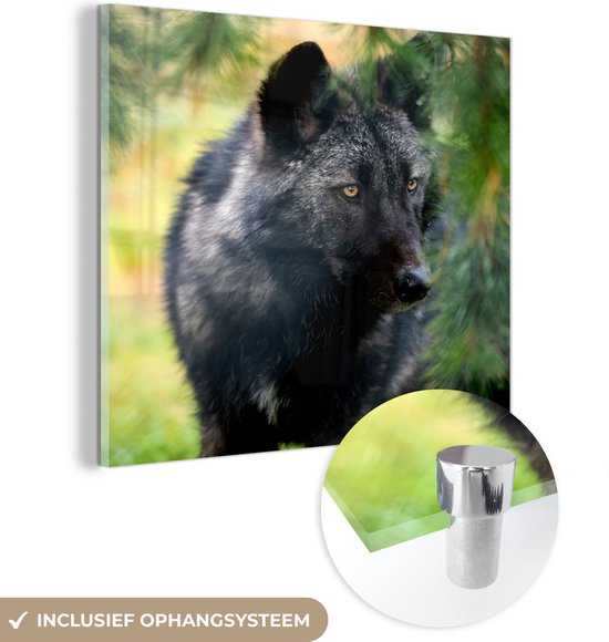 MuchoWow® Glasschilderij 20x20 cm - Schilderij acrylglas - Wolf - Macro - Bladeren - Foto op glas - Schilderijen