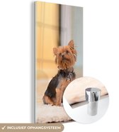 MuchoWow® Glasschilderij 80x160 cm - Schilderij acrylglas - Een kleine Yorkshire Terrier zit op een kleedje - Foto op glas - Schilderijen