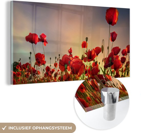MuchoWow® Glasschilderij 80x40 cm - Schilderij acrylglas - Kleurrijke lucht boven een veld Klaprozen in Denemarken - Foto op glas - Schilderijen