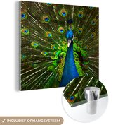 MuchoWow® Glasschilderij 90x90 cm - Schilderij acrylglas - Pauw - Veren - Patroon - Blauw - Foto op glas - Schilderijen