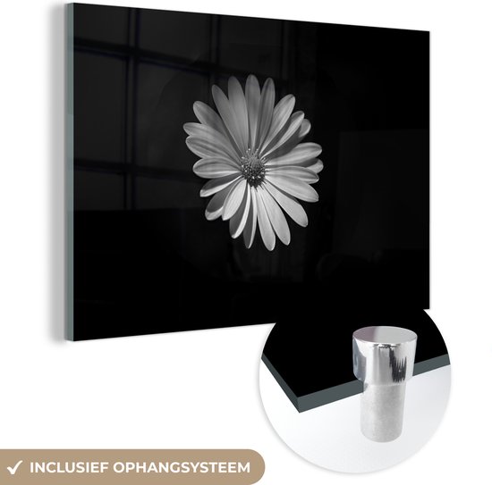 MuchoWow® Glasschilderij 30x20 cm - Schilderij acrylglas - Een wit madeliefje op een zwarte achtergrond - Foto op glas - Schilderijen