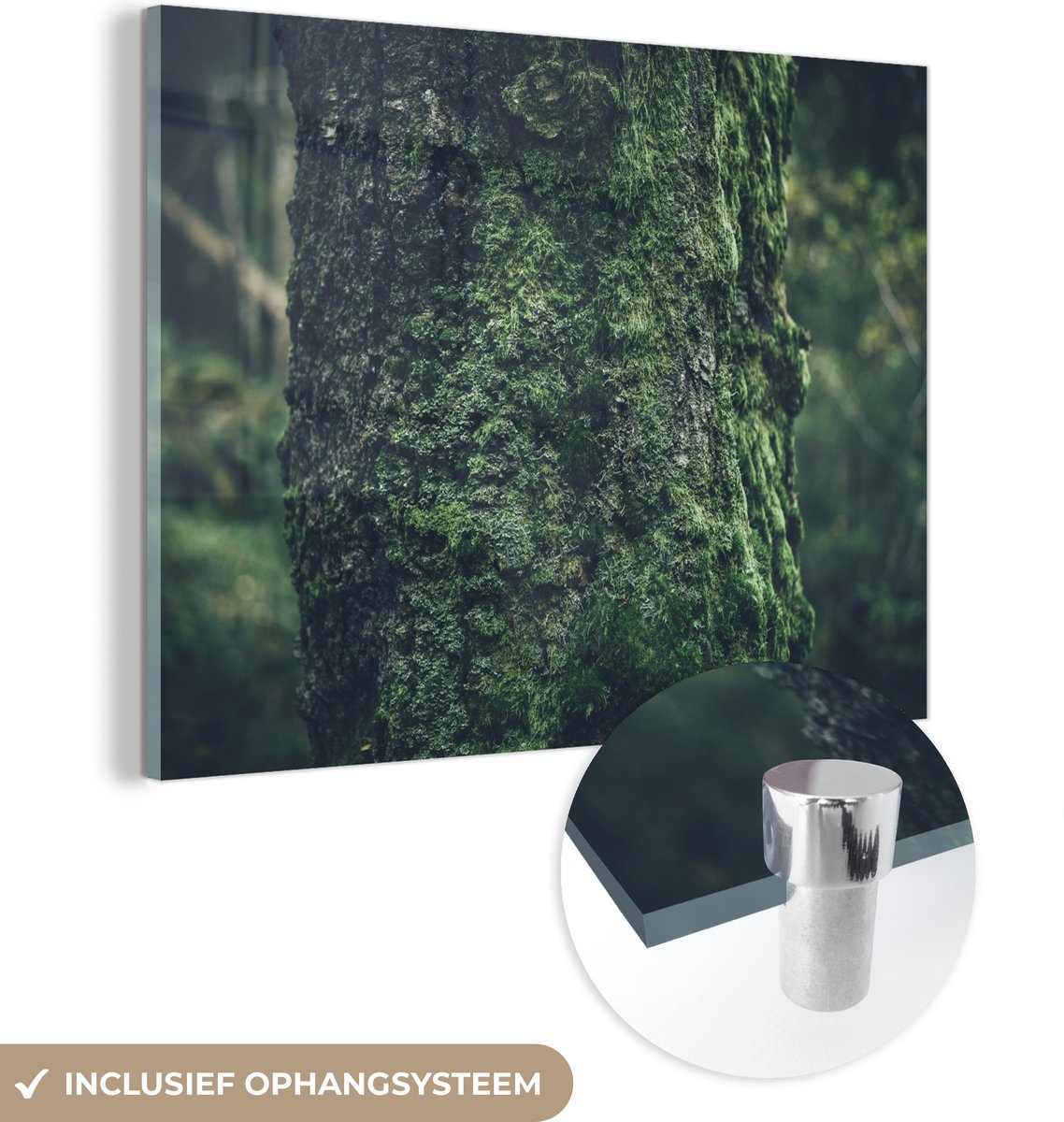 ® Glasschilderij 40x30 cm - Schilderij acrylglas - Mossige boomstam - Foto op glas - Muurd