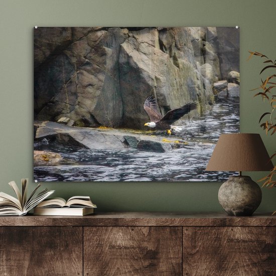 MuchoWow® Peinture sur verre 80x60 cm - Peinture sur verre acrylique - Pygargue à queue blanche près des rochers du Cap Breton - Photo sur verre - Peintures