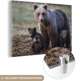 MuchoWow® Glasschilderij 30x20 cm - Schilderij acrylglas - Moederbeer met jongen - Foto op glas - Schilderijen