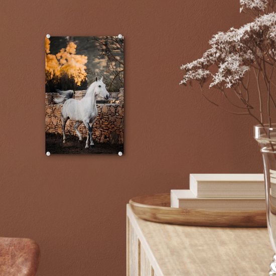 ® Glasschilderij 20x30 cm - Schilderij acrylglas - Paard - Wit - Boom - Zon - Foto op glas - Muurdecoratie woonkamer - Wanddecoratie slaapkamer - Schilderijen