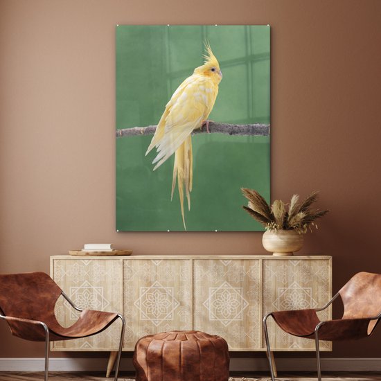 MuchoWow® Peinture sur verre - Calopsitte jaune sur un bâton - 90x120 cm - Peintures sur verre acrylique - Photo sur Glas