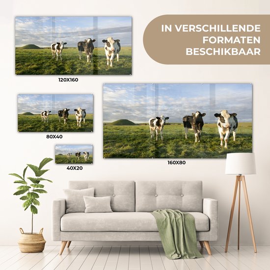 Trois vaches frisonnes dans un cadre magnifique Plexiglas 160x80 cm - Tirage photo sur verre (décoration murale plexiglas)