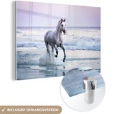 Glas à cheval sur la plage 90x60 cm - Tirage photo sur Glas (décoration murale en plexiglas)
