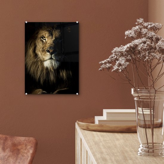 MuchoWow® Peinture sur verre - Lion - Lumière - Zwart - 30x40 cm - Peintures sur verre acrylique - Photo sur Glas
