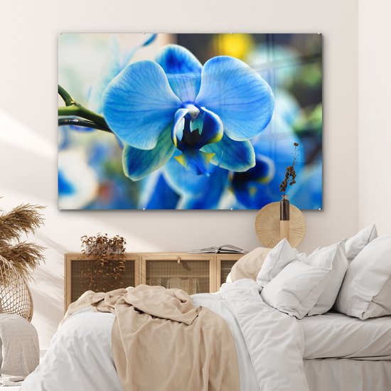 Peinture sur verre - Gros plan d'une orchidée bleue avec un arrière-plan flou - 180x120 cm - Peintures sur Verre Peintures - Photo sur Glas