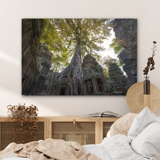 Arbres du temple Ta Prohm à Angkor Wat Plexiglass 90x60 cm - Tirage photo sur Glas (décoration murale plexiglas)
