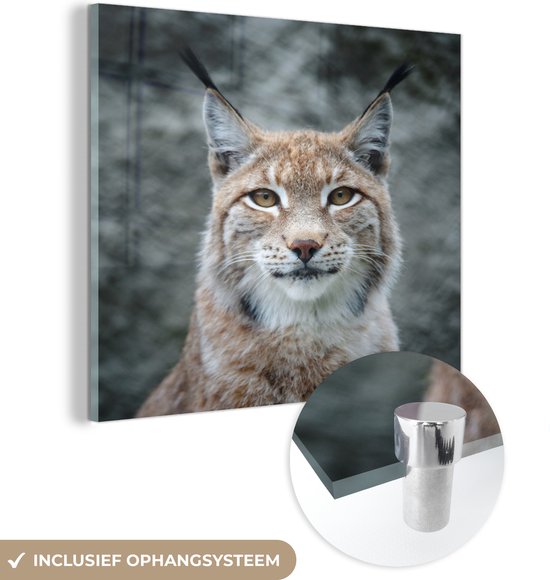MuchoWow® Glasschilderij 50x50 cm - Schilderij acrylglas - Portret van een jonge lynx - Foto op glas - Schilderijen