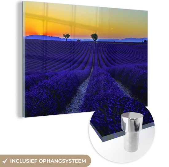 MuchoWow® Glasschilderij 90x60 cm - Schilderij acrylglas - Kleuren - Lavendel - Zonsondergang - Foto op glas - Schilderijen