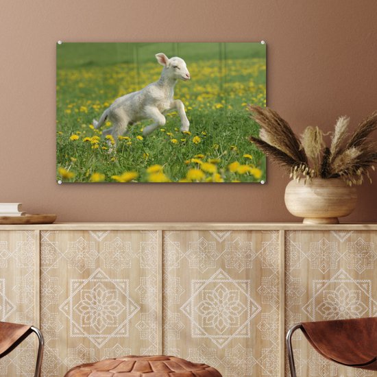 MuchoWow® Peinture sur verre 60x40 cm - Peinture sur verre acrylique - Moutons - Fleurs - Jaune - Photo sur verre - Peintures