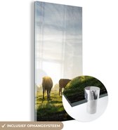 MuchoWow® Glasschilderij 80x160 cm - Schilderij glas - Koeien - Zon - Gras - Foto op acrylglas - Schilderijen