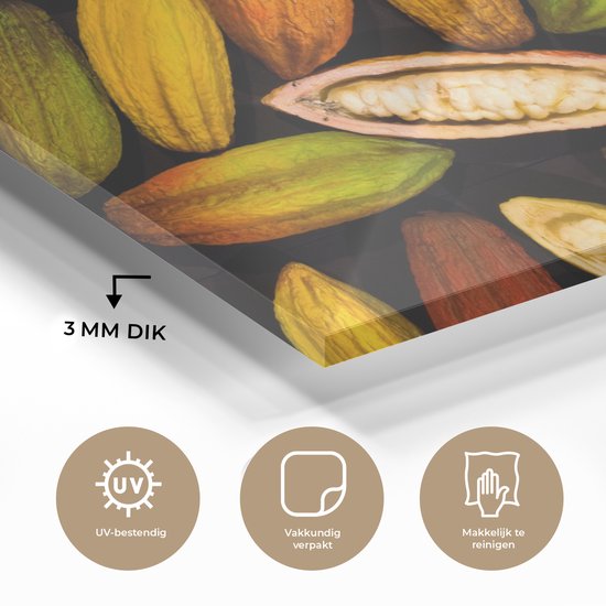 Cabosses ouvertes et fermées des fèves de cacao Plexiglas 30x20 cm - petit - Tirage photo sur Glas (décoration murale plexiglas)