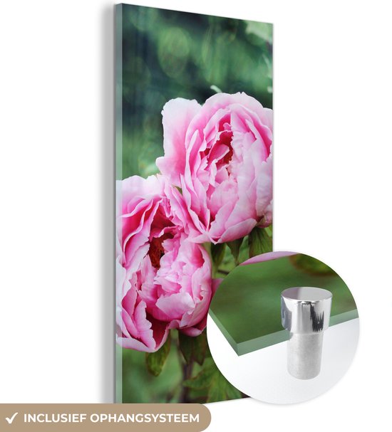 MuchoWow® Glasschilderij 20x40 cm - Schilderij acrylglas - Roze pioenrozen in tuin - Foto op glas - Schilderijen