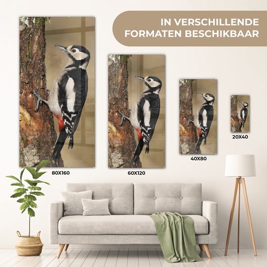 Peinture sur Verre - Un Pic épeiche en Automne - 20x40 cm - Peintures sur Verre Peintures - Photo sur Glas