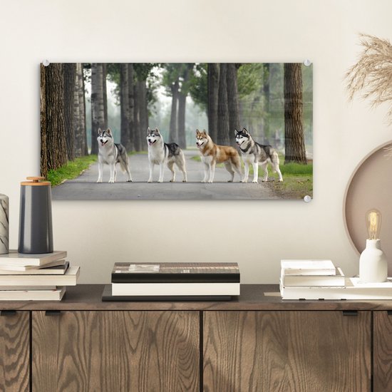 MuchoWow® Peinture sur verre 40x20 cm - Peinture sur verre acrylique - Quatre huskies parmi les arbres - Photo sur verre - Peintures