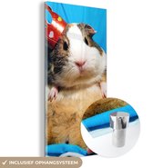 MuchoWow® Peinture sur Verre - Cochon d'Inde - Drôle - Kroon - 60x120 cm - Peintures sur Verre Peintures - Photo sur Glas