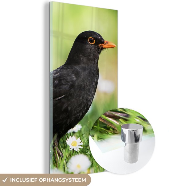 Glasschilderij - Foto op glas - Acrylglas - Vogel - Merel - Bloemen - Landschap - 60x120 cm - Glasschilderij bloemen - Wanddecoratie glas - Glasschilderij vogels - Muurdecoratie dieren