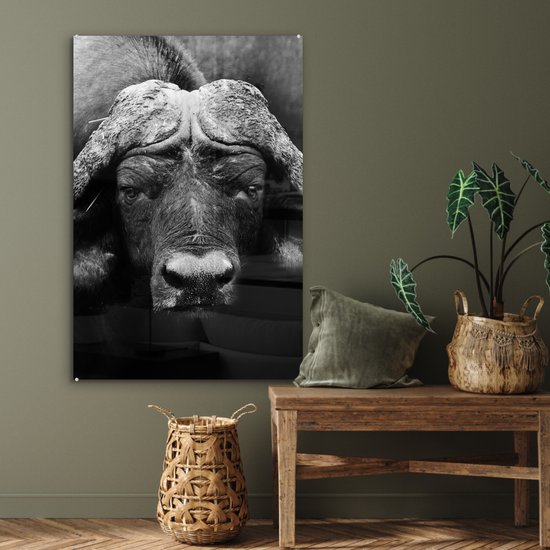 Peinture sur verre - Photo sur verre - Verre acrylique - Animaux - Buffalo - Zwart - Wit - Décoration murale animaux - 60x90 cm - Salon - Décoration de chambre - Décoration murale