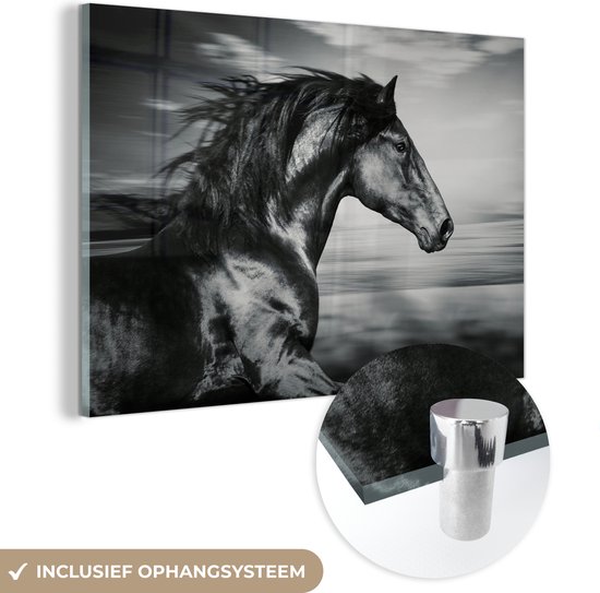 MuchoWow - Peinture sur verre - Photo sur verre - Verre acrylique - Animaux - Cheval - Nature - Zwart et blanc - Décoration murale - 120x80 cm - Peintures cheval - Tableaux salon