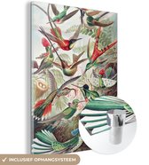 MuchoWow® Glasschilderij 30x40 cm - Schilderij acrylglas - Kolibrie - Vintage - Ernst Haeckel - Vogel - Kunst - Natuur - Foto op glas - Schilderijen