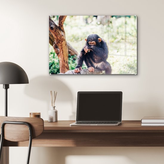 MuchoWow® Peinture sur verre 60x40 cm - Peinture sur verre acrylique - Singe chimpanzé en gros plan assis dans la forêt - Photo sur verre - Peintures