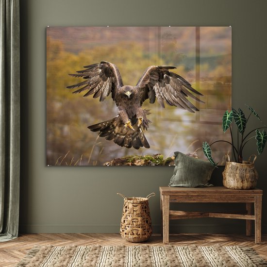 Atterrissage aigle royal aux ailes courbes Plexiglas 160x120 cm - Tirage photo sur Glas (décoration murale plexiglas) XXL / Groot format!