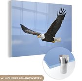 Aigle chauve volant en plexiglas 120x80 cm - Tirage photo sur Glas (décoration murale en plexiglas)