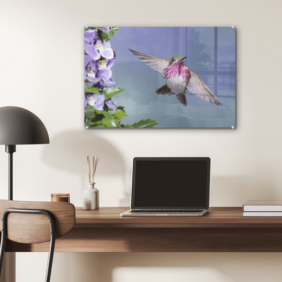 Un colibri calliope aux fleurs violettes Plexiglas 60x40 cm - Tirage photo sur Glas (décoration murale plexiglas)