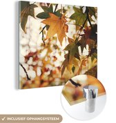 MuchoWow® Glasschilderij 90x90 cm - Schilderij acrylglas - Natuur - Herfstbladeren - Landelijk - Foto op glas - Schilderijen