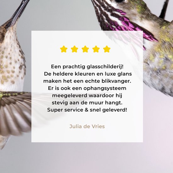 Un mâle et une femelle colibri calliope Plexiglas 60x40 cm - Tirage photo sur Glas (décoration murale plexiglas)