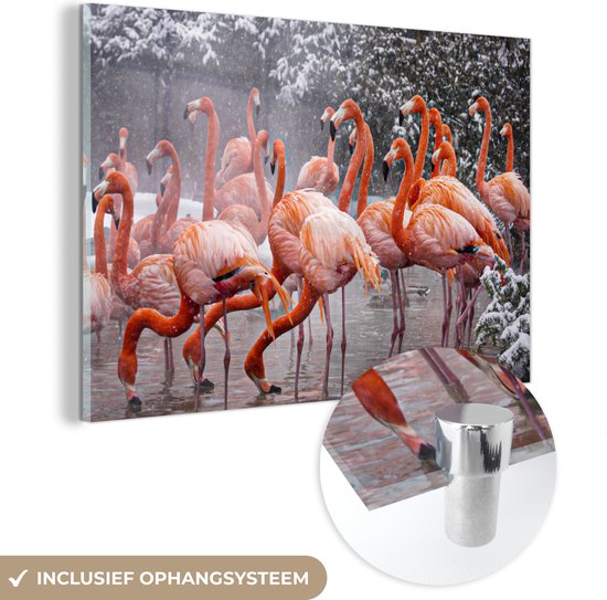 MuchoWow® Glasschilderij 60x40 cm - Schilderij acrylglas - Flamingo - Sneeuw - Water - Foto op glas - Schilderijen