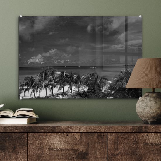 MuchoWow® Peinture sur verre - Aruba - Palmier - Zwart - Wit - 60x40 cm - Peintures sur verre acrylique - Photo sur Glas